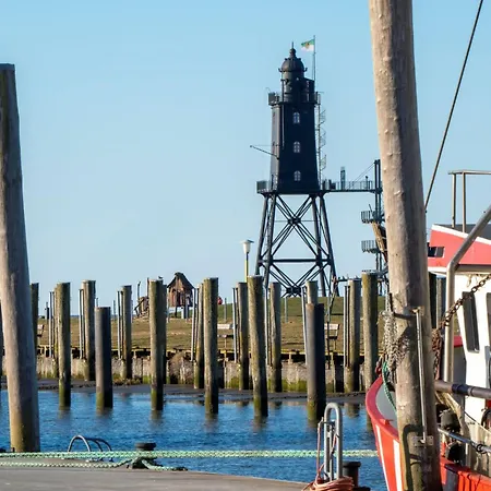 Mellumplate 17 دورم نيوفيلد